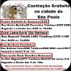 Dicas e Artigos